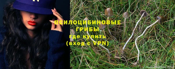 шишки Заводоуковск