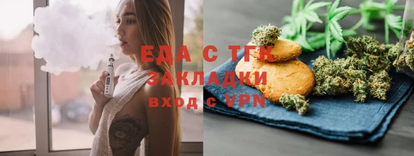 индика Фурманов