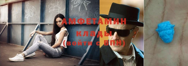 шишки Заводоуковск