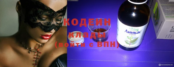 мдпв Елабуга