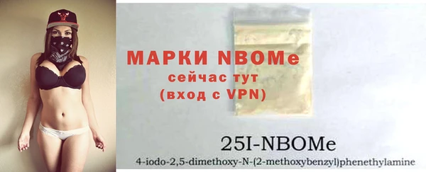 мдпв Елабуга