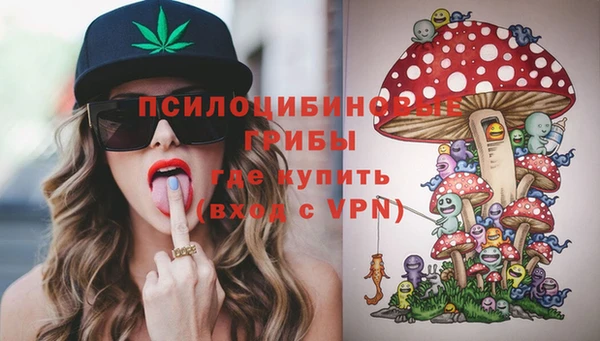 индика Фурманов